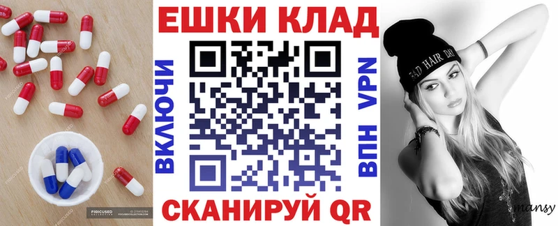 ЭКСТАЗИ XTC  где купить   Аргун 