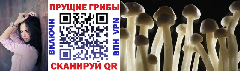 Галлюциногенные грибы ЛСД Аргун