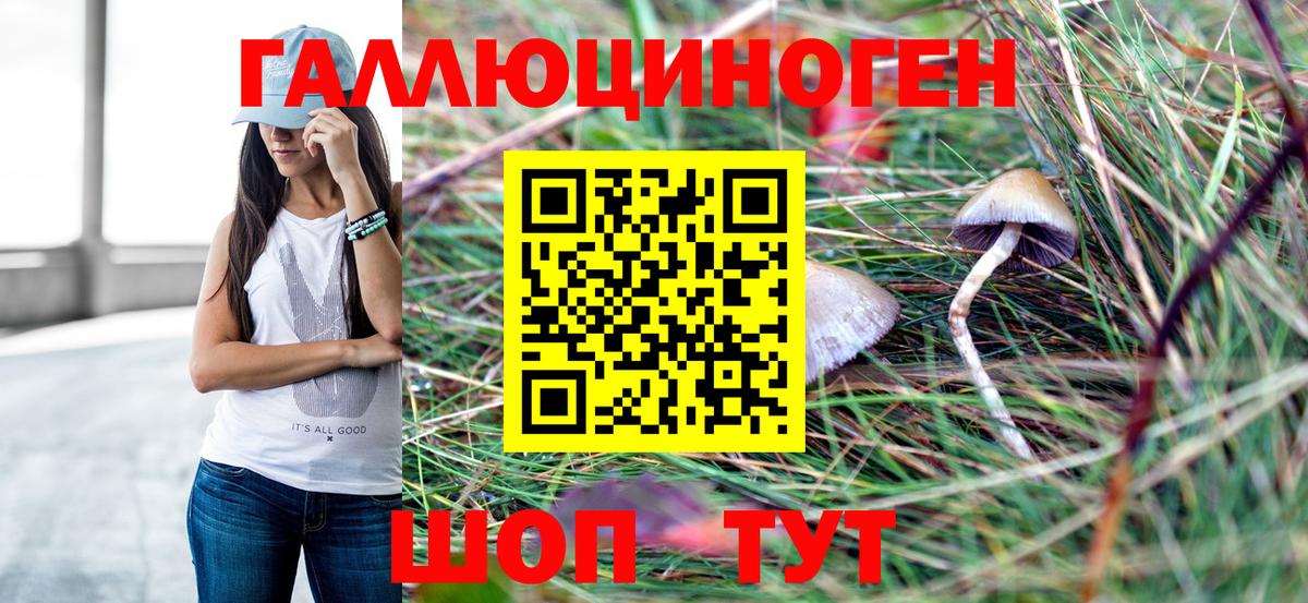 Галлюциногенные грибы мицелий  Вход с VPN  Аргун 