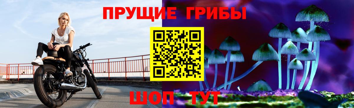 Галлюциногенные грибы прущие грибы Аргун
