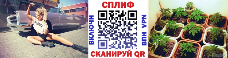 закладки Аргун МАРИХУАНА AK-47
